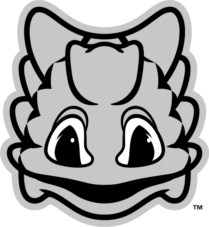 TCU Horned Frogs 2016-Pres Mascot Logo v2 DIY iron on transfer (heat transfer)
